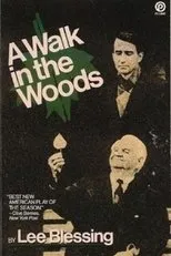 Póster de A Walk in the Woods