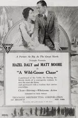 Póster de A Wild Goose Chase