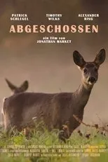 Póster de Abgeschossen