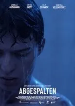 Póster de Abgespalten