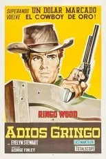 Póster de Adiós Gringo