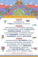 Póster de Adult Swim Festival Presents: Run the Jewels