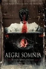 Póster de Aegri Somnia
