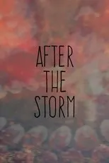 Póster de After the Storm