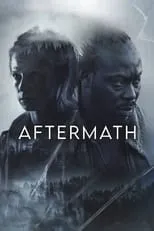 Póster de Aftermath