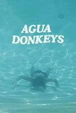 Póster de Agua Donkeys