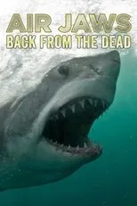 Póster de Air Jaws: Back from the Dead