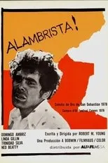 Póster de ¡Alambrista!