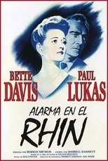 Póster de Alarma en el Rhin