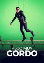 Póster de Algo muy gordo