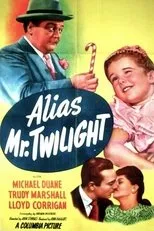 Póster de Alias Mr. Twilight