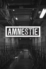 Póster de Amnestie