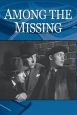 Póster de Among the Missing