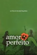 Póster de Amor Perfeito