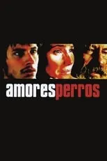 Póster de Amores perros