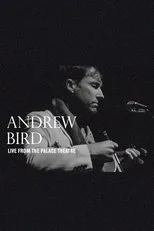 Póster de Andrew Bird: Live From The Palace Theatre