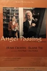 Póster de Angel Passing