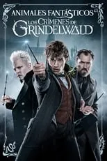 Póster de Animales fantásticos: Los crímenes de Grindelwald
