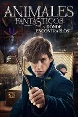 Póster de Animales fantásticos y dónde encontrarlos