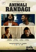 Póster de Animali randagi