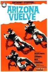 Póster de Arizona vuelve