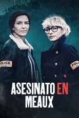 Póster de Asesinato en Meaux