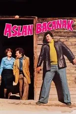 Póster de Aslan Bacanak
