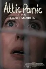 Póster de Attic Panic