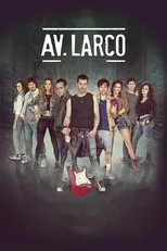 Póster de Av. Larco