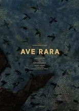 Póster de Ave Rara