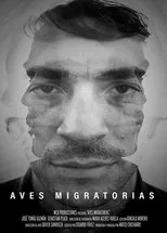Póster de Aves migratorias
