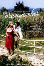Póster de Az aranyember