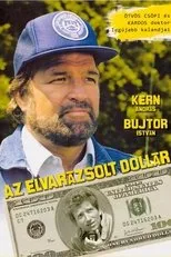 Póster de Az elvarázsolt dollár
