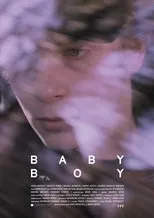 Póster de Babyboy