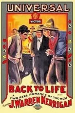 Póster de Back to Life