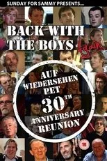 Póster de Back With The Boys Again