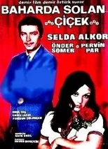 Póster de Baharda Solan Çiçek