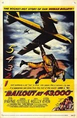 Póster de Bailout at 43,000