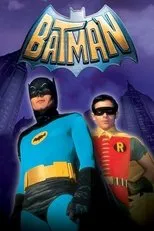 Póster de Batman: La película