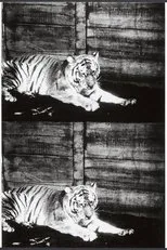 Póster de Beasts of the Jungle