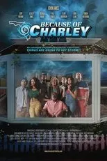 Póster de Because of Charley