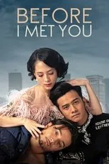 Póster de Before I Met You