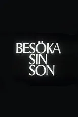 Póster de Besöka sin son