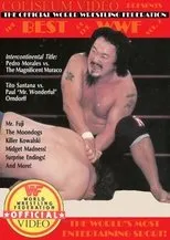 Póster de Best of the WWF Volume 2