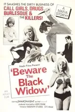 Póster de Beware the Black Widow