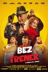 Póster de Bez trenek