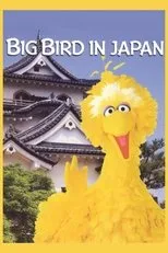 Póster de Big Bird in Japan