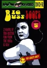 Póster de Big Bust Loops Volume 5