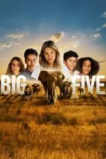 Póster de Big Five