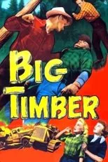 Póster de Big Timber